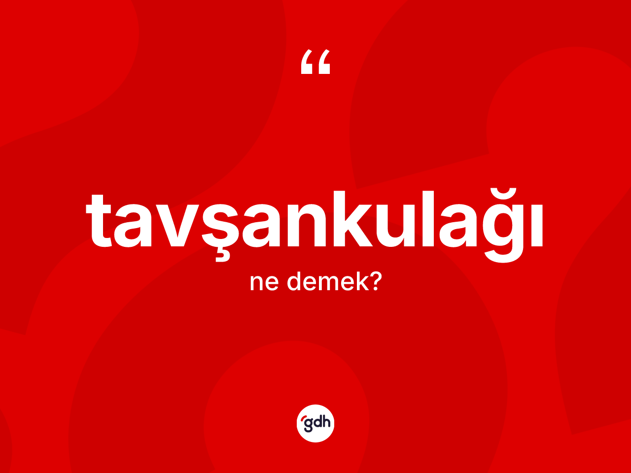 Tavşankulağı kelimesinin anlamı nedir? Tavşankulağının TDK'ya göre anlamı nedir?