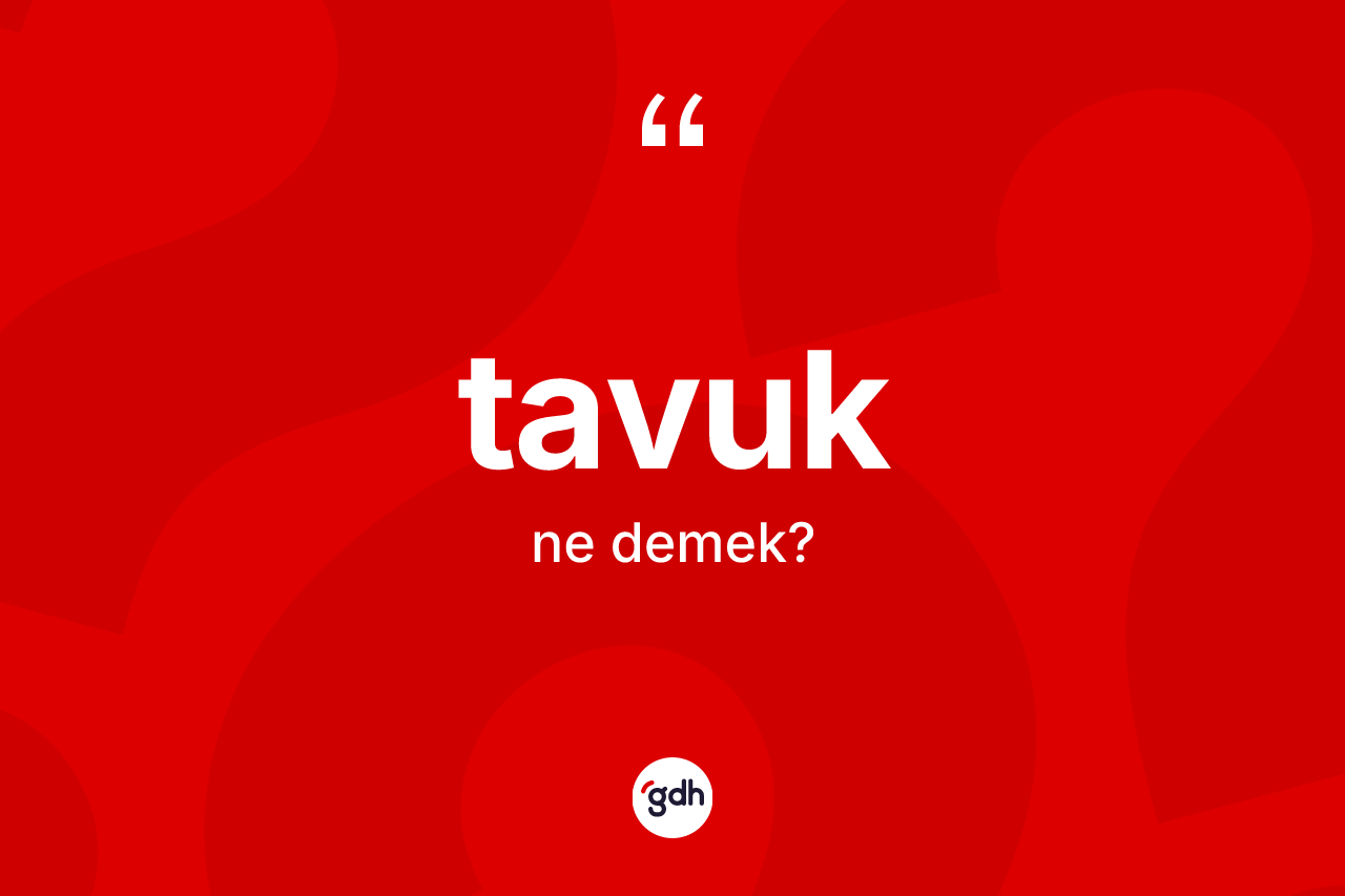 Tavuk kelimesinin tanımı nedir?