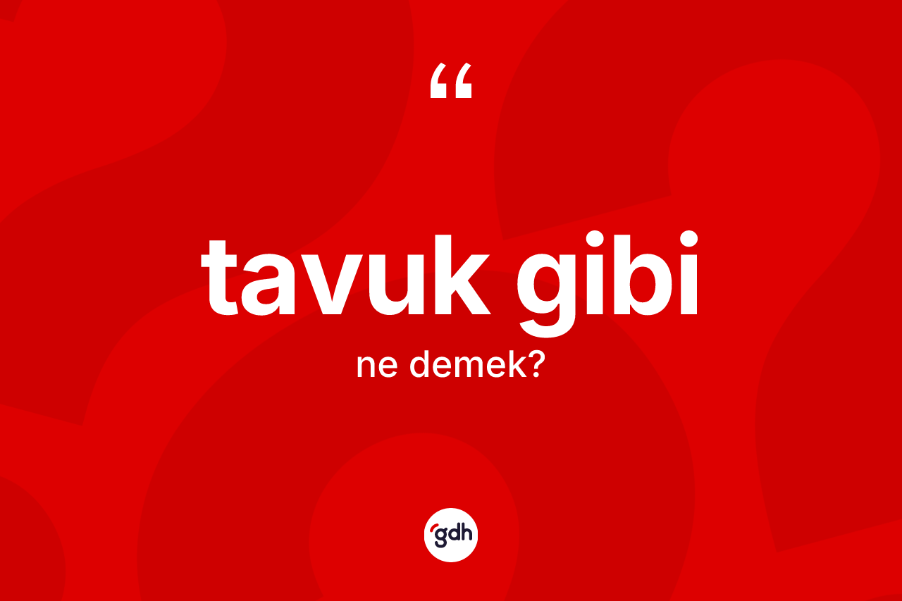 Tavuk gibi sözü ne demektir? Tavuk gibi ifadesinin TDK tanımı nedir?