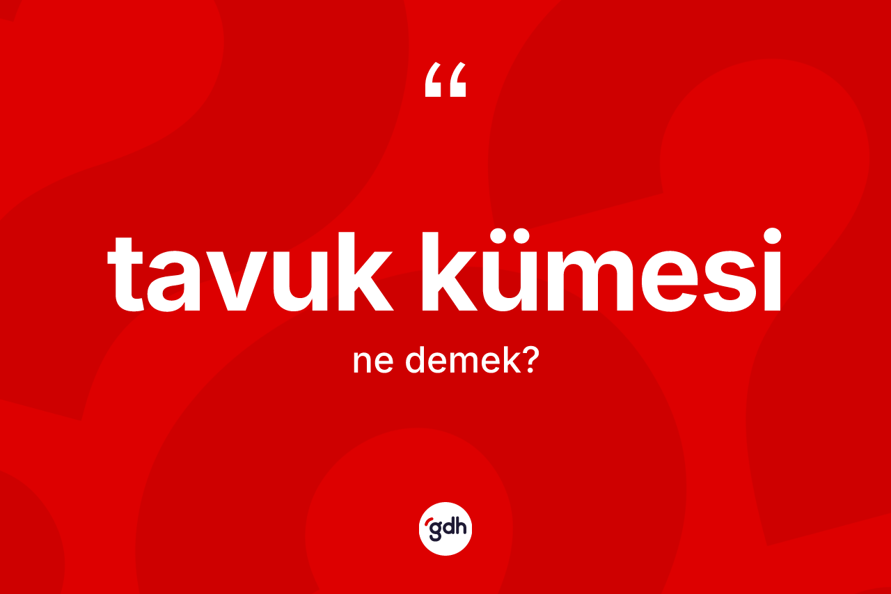 Tavuk kümesi kelimesi ne demek? Tavuk kümesi kelimesinin TDK'ya göre açıklaması nedir?