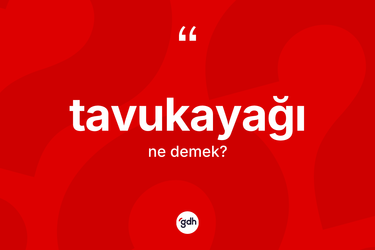 Tavukayağı kelimesinin anlamı nedir? Tavukayağı kelimesinin kaç farklı anlamı var?