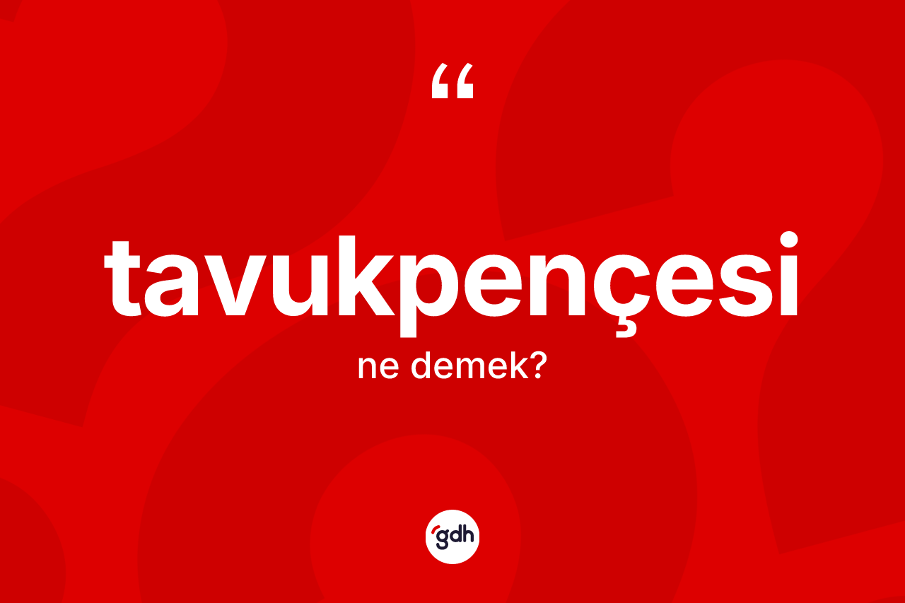 Tavukpençesi ne demek? Tavukpençesinin sözlükteki anlamı nedir?