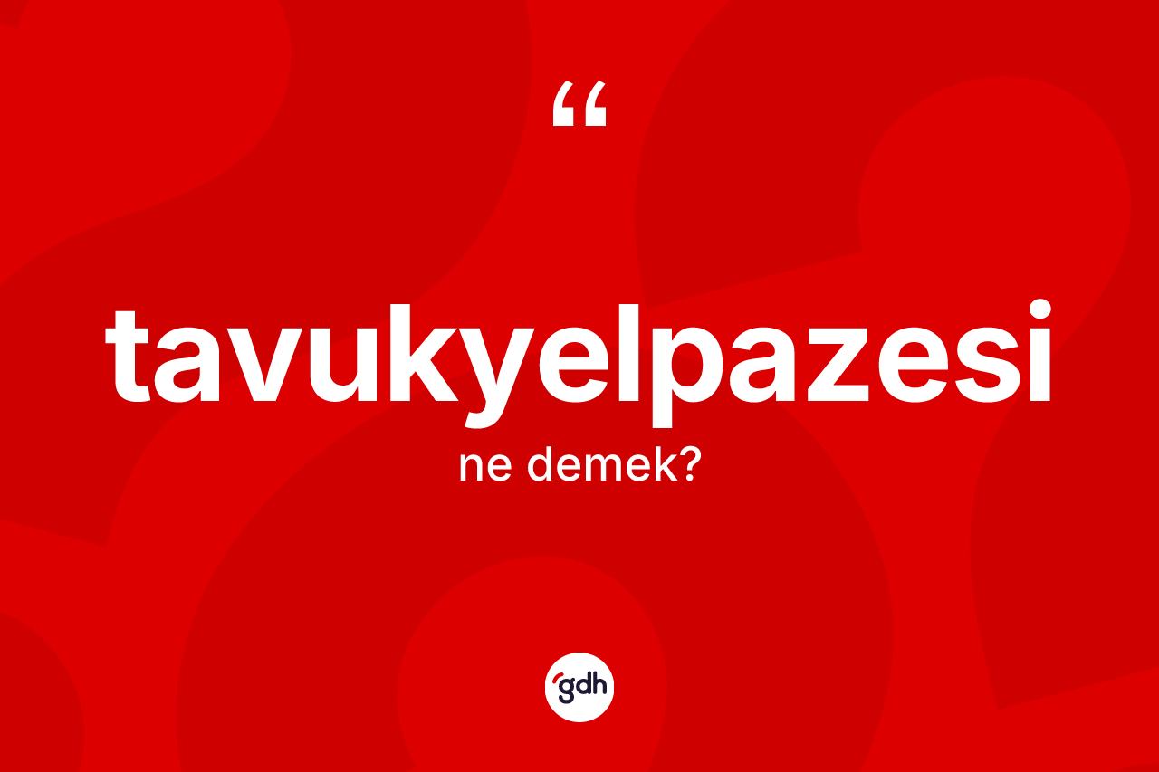Tavukyelpazesi kelimesinin tanımı nedir? Tavukyelpazesi kelimesinin TDK'ya göre açıklaması nedir?