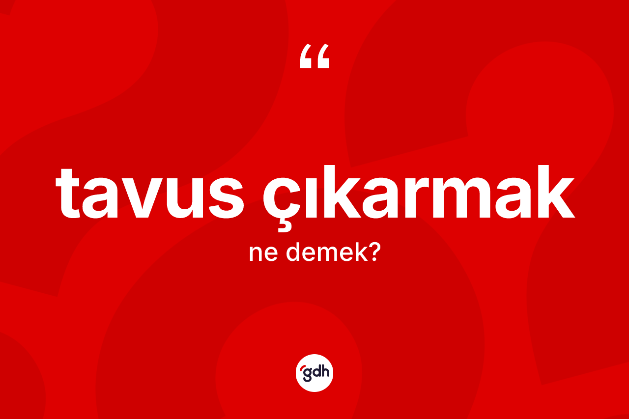 Tavus çıkarmak ifadesinin kısaca anlamı nedir? Tavus çıkarmak sözü nerede kullanılır?