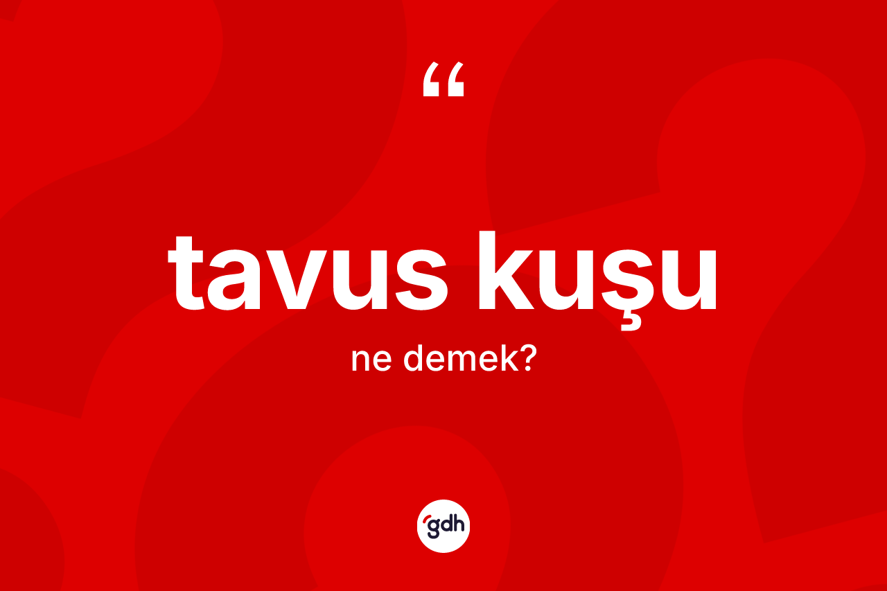 Tavus kuşu kelimesinin anlamı nedir? Tavus kuşunun kısaca tanımı nedir?