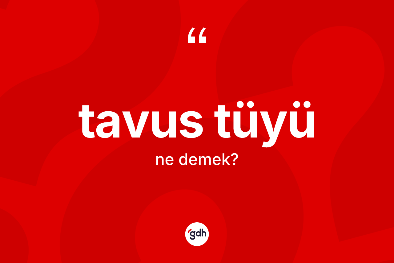 Tavus tüyü kelimesinin anlamı nedir?