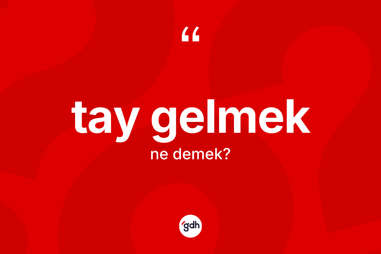 Tay gelmek ne demek? Tay gelmek ifadesi hangi durumlarda kullanılır?