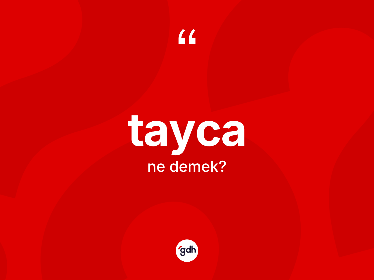 Tayca kelimesi ne anlama gelir? Tayca'nın TDK'ya göre anlamı nedir?