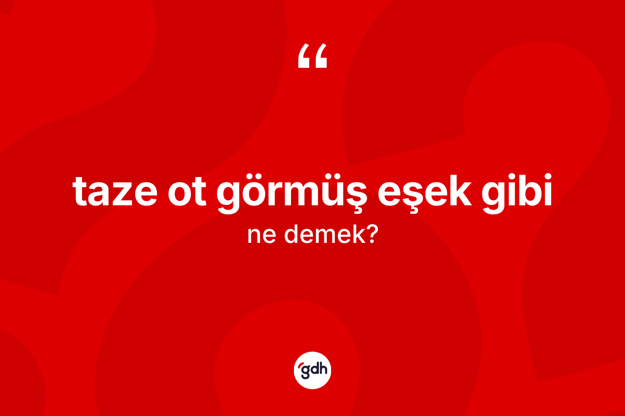 Taze ot görmüş eşek gibi ne anlama gelir? Taze ot görmüş eşek gibi ifadesinin TDK tanımı nedir?