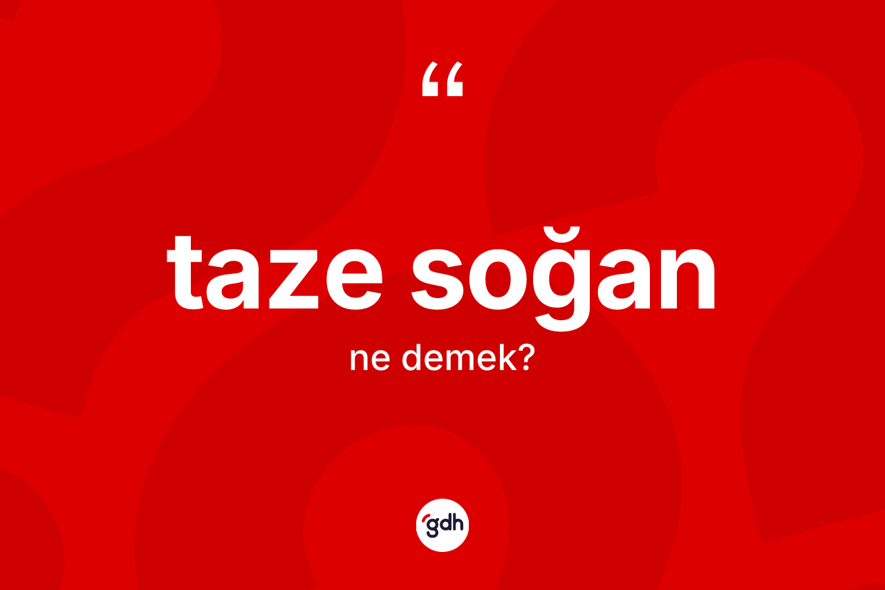 Taze soğan kelimesi nedir? Taze soğanın kısaca tanımı nedir?