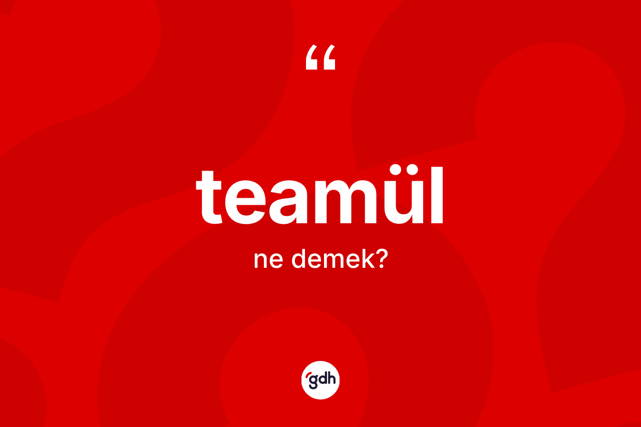 Teamül kelimesinin anlamı nedir? Teamül kelimesinin kaç farklı anlamı var?