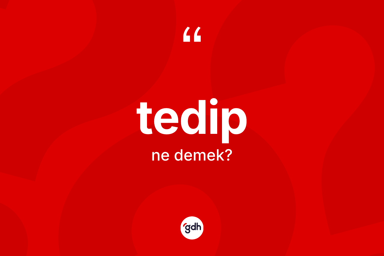 Tedip kelimesinin anlamı nedir? Tedibin sözlükteki anlamı nedir?