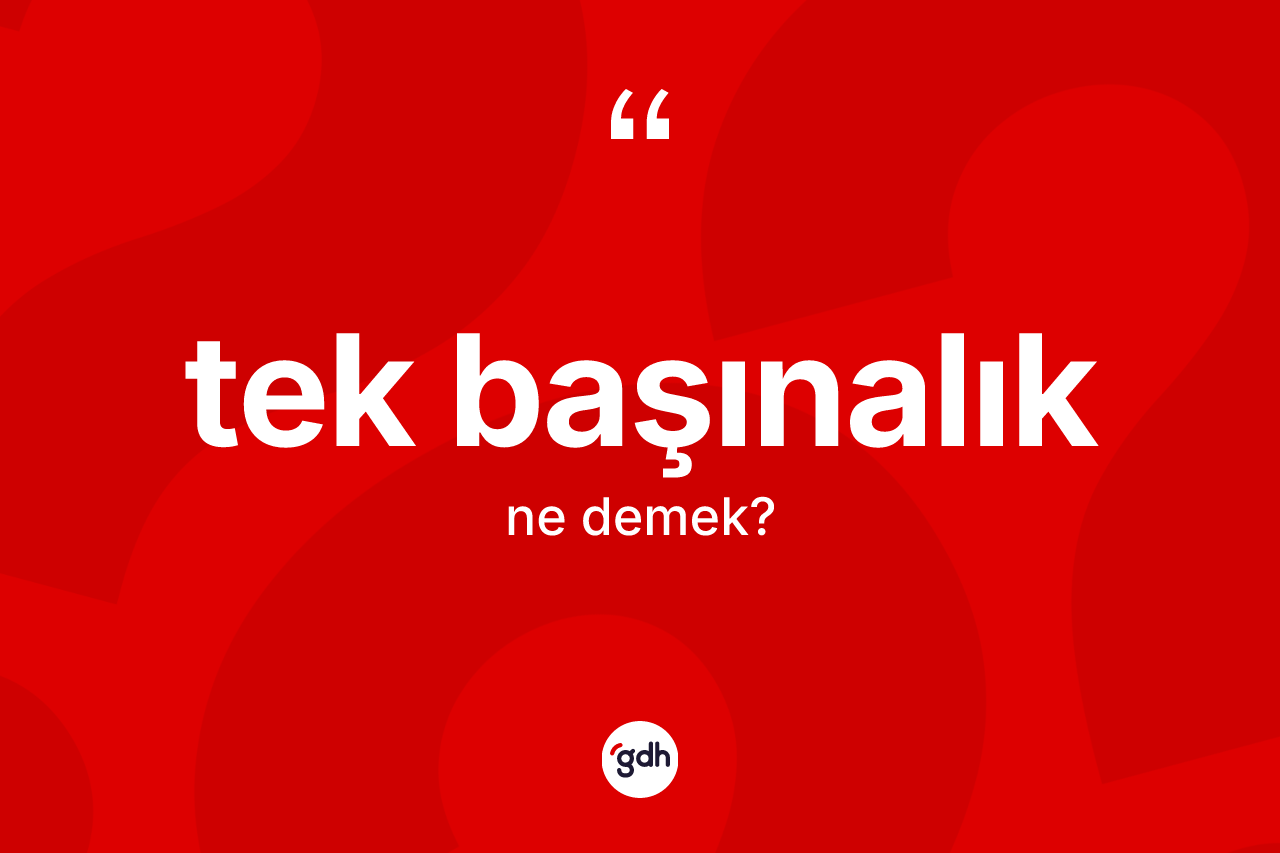Tek başınalık kelimesinin anlamı nedir? Tek başınalığın kısaca tanımı nedir?