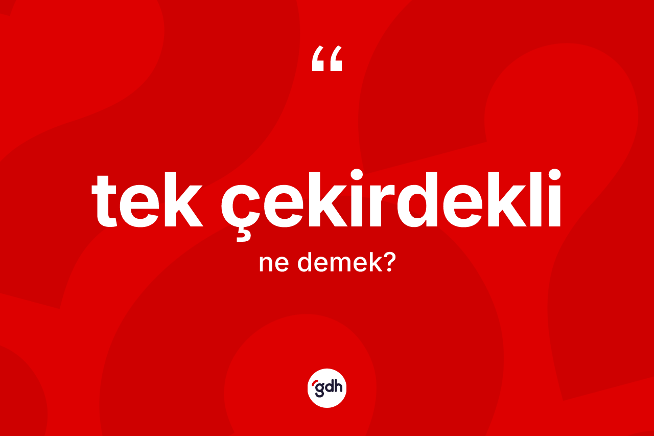 Tek çekirdekli kelimesinin anlamı nedir? Tek çekirdeklinin TDK'ya göre anlamı nedir?