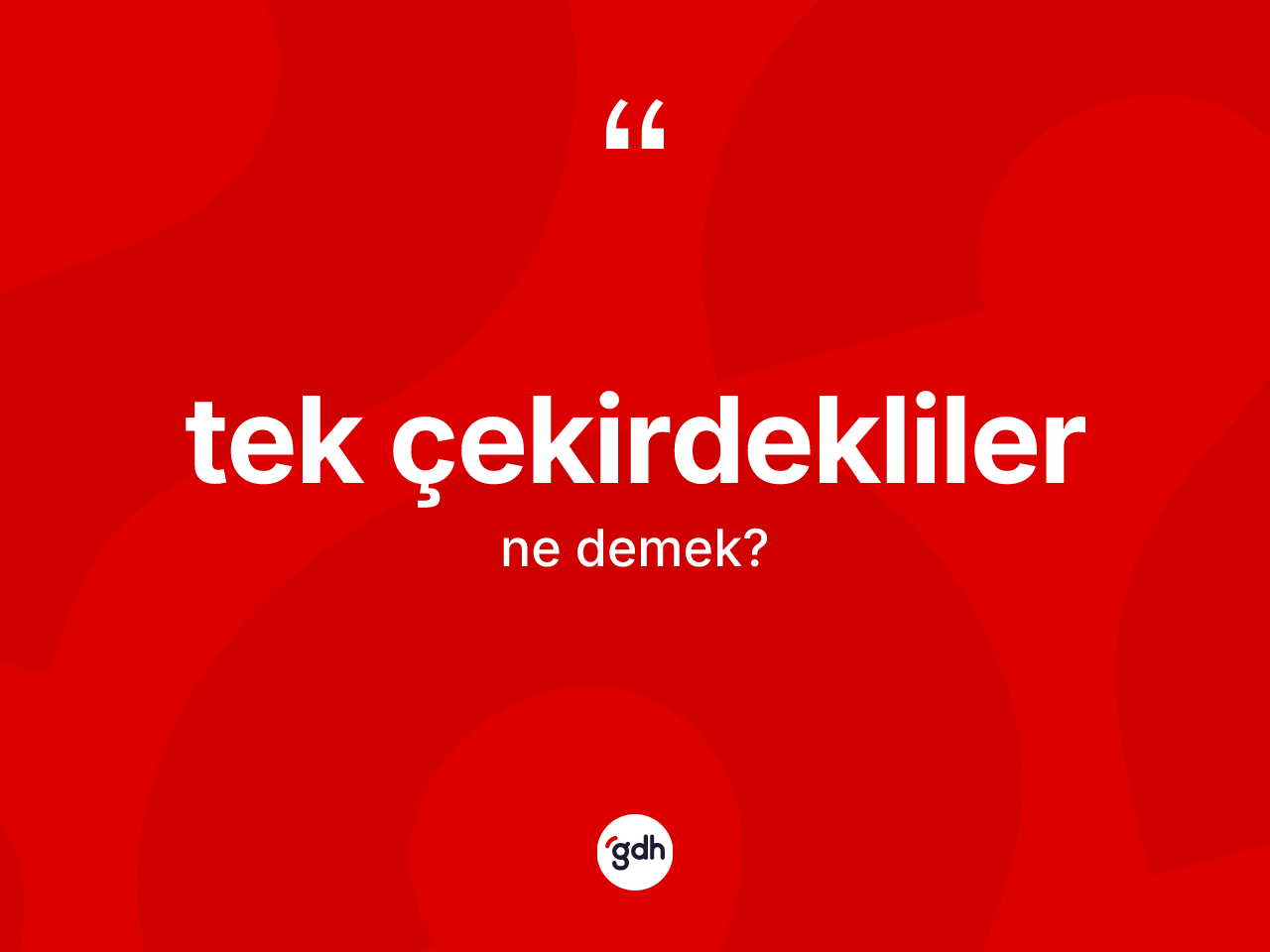 Tek çekirdekliler ne demek? Tek çekirdekliler kelimesinin özellikleri nelerdir?