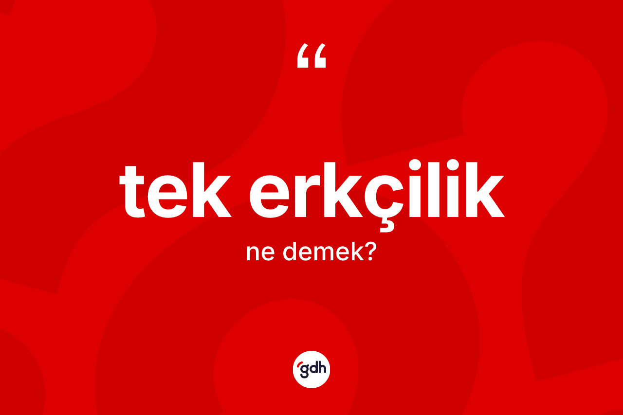 Tek erkçilik nedir? Tek erkçiliğin TDK'ya göre anlamı nedir?