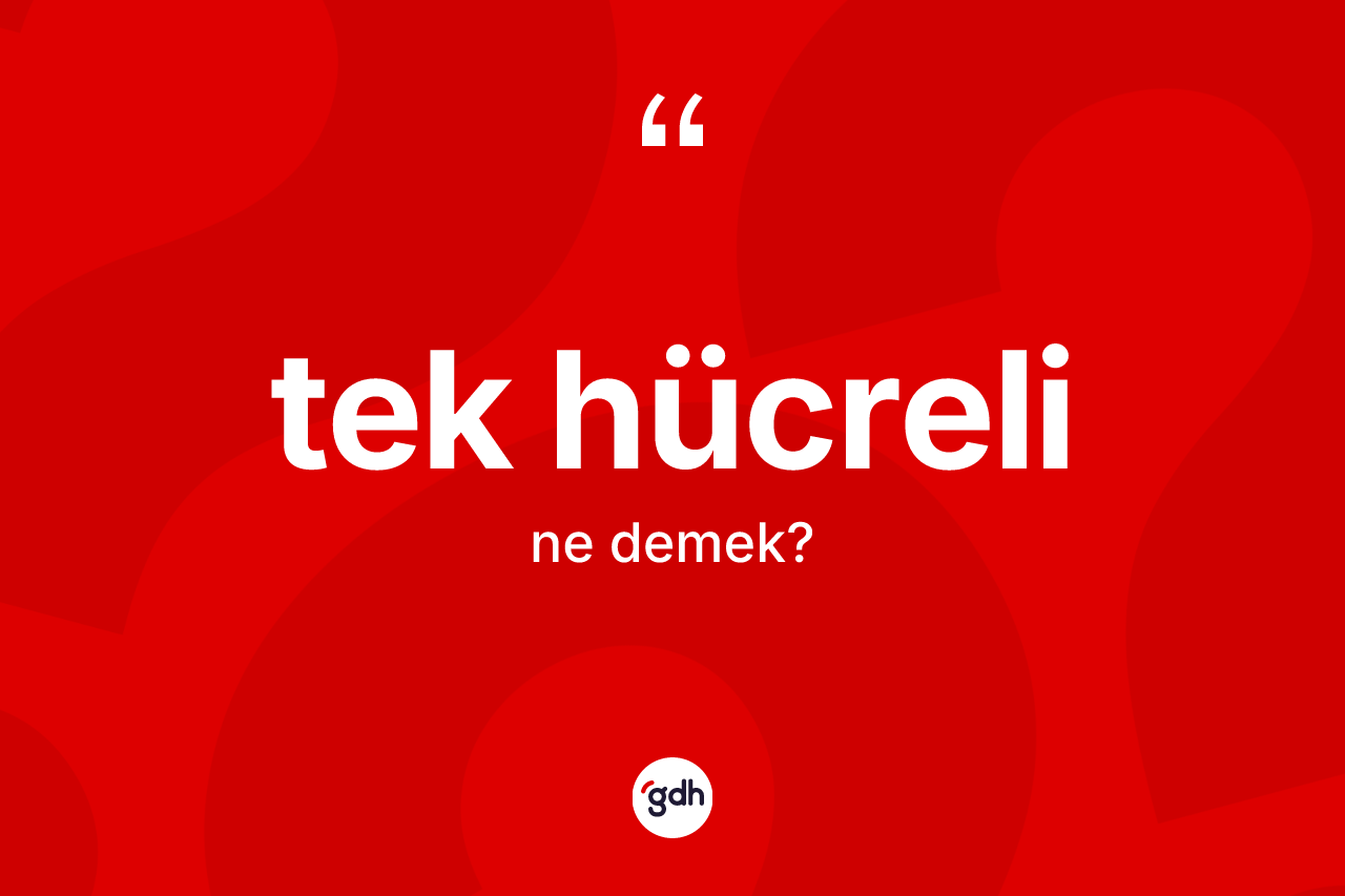 Tek hücreli kelimesinin sözlükteki tanımı nedir? Tek hücrelinin TDK'ya göre anlamı nedir?