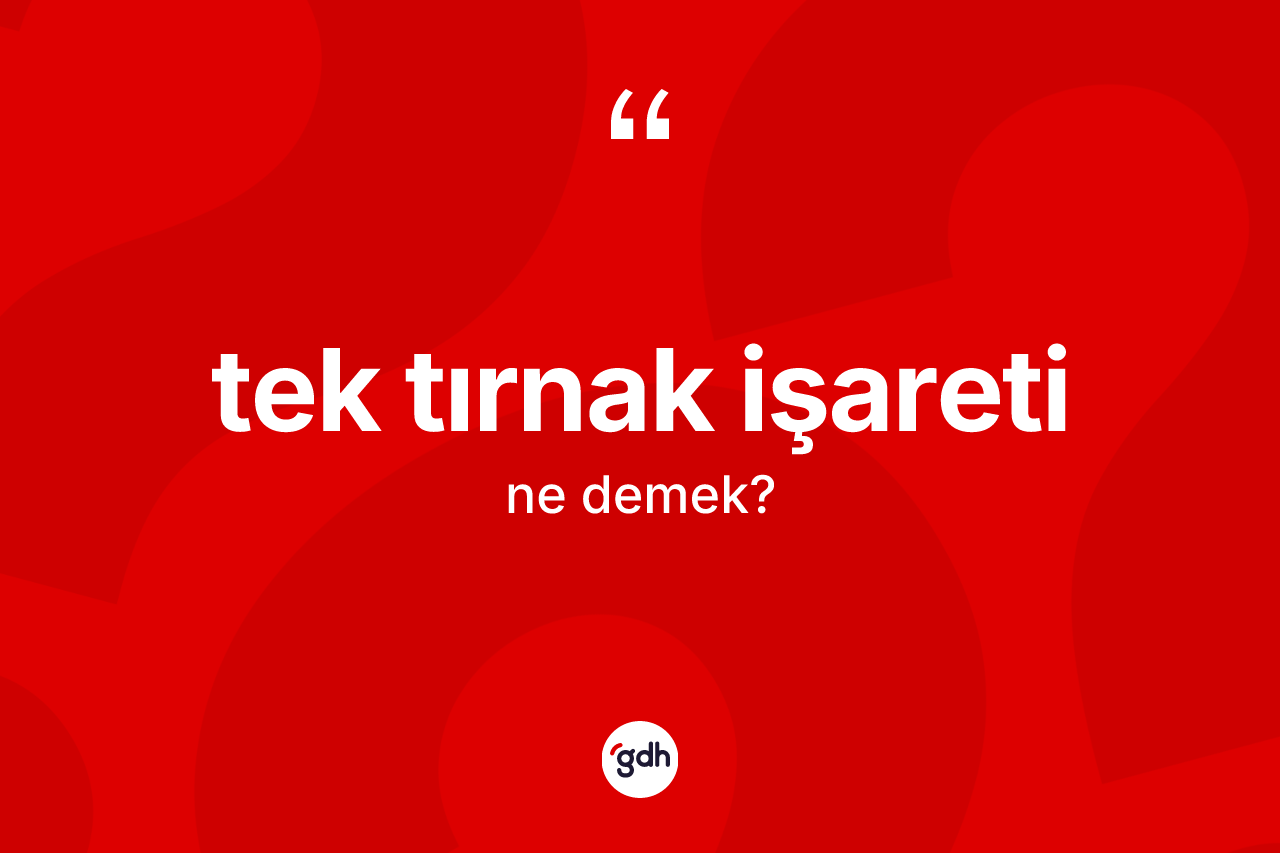 Tek tırnak işareti nedir? Tek tırnak işaretinin TDK'ya göre anlamı nedir?