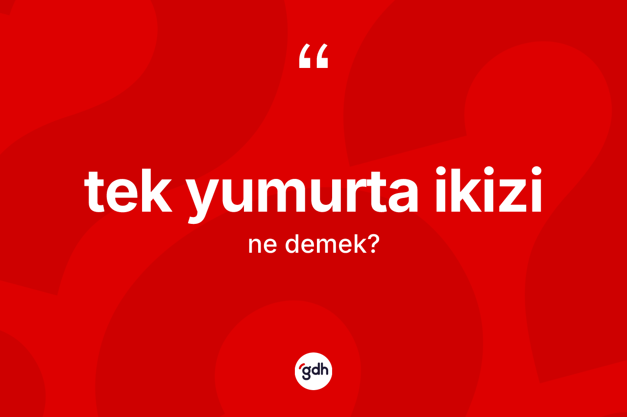 Tek yumurta ikizi kelimesinin anlamı nedir? Tek yumurta ikizinin halk arasındaki kullanımı nasıldır?