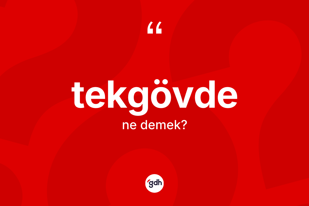 Tekgövde kelimesinin anlamı nedir? Tekgövdenin TDK'ya göre anlamı nedir?