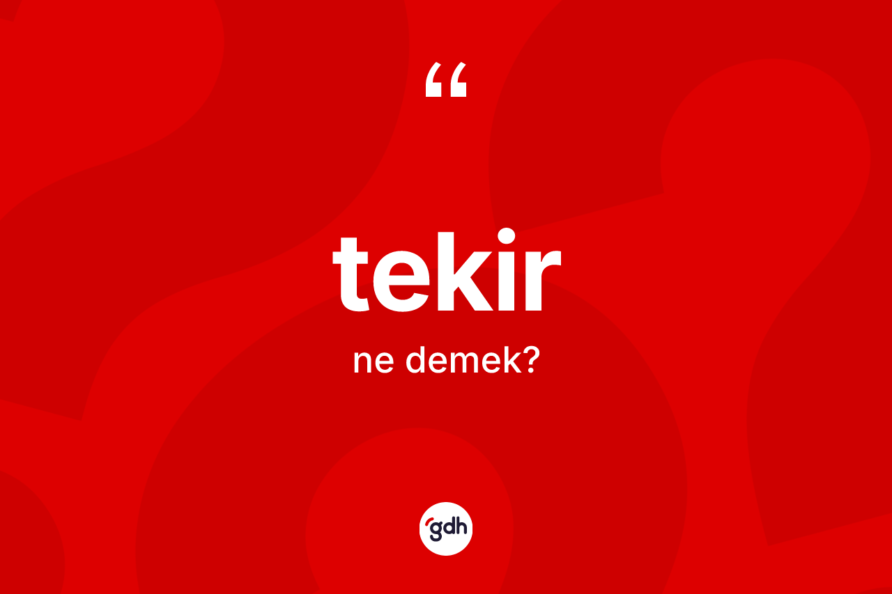Tekir kelimesinin sözlükteki tanımı nedir? Tekir kelimesinin kaç farklı anlamı var?