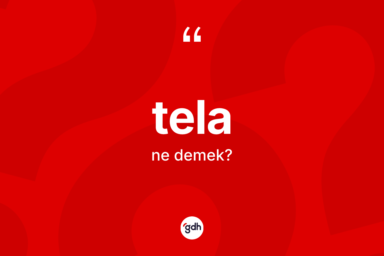 Tela ne demek? Telanın TDK'ya göre anlamı nedir?