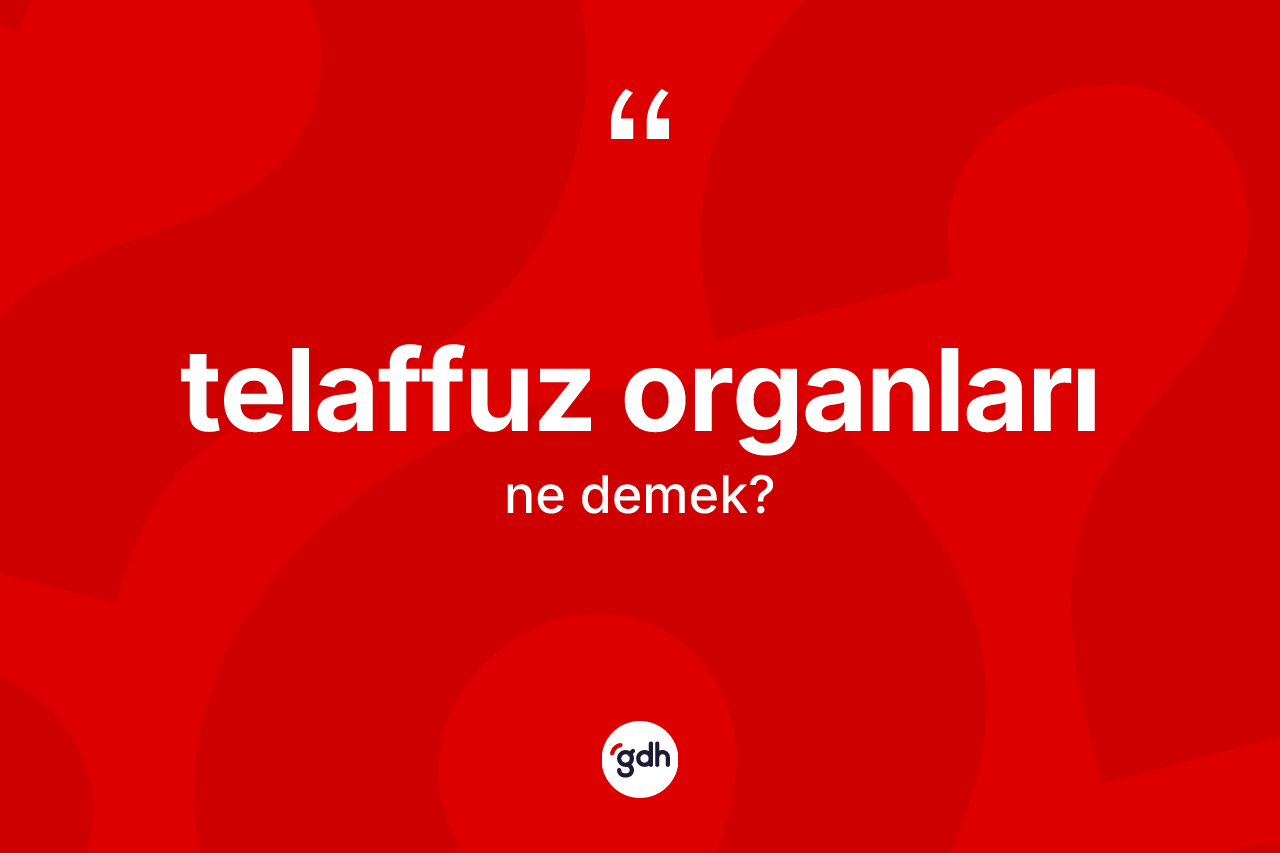 Telaffuz organları kelimesi nedir? Telaffuz organlarının kısaca tanımı nedir?