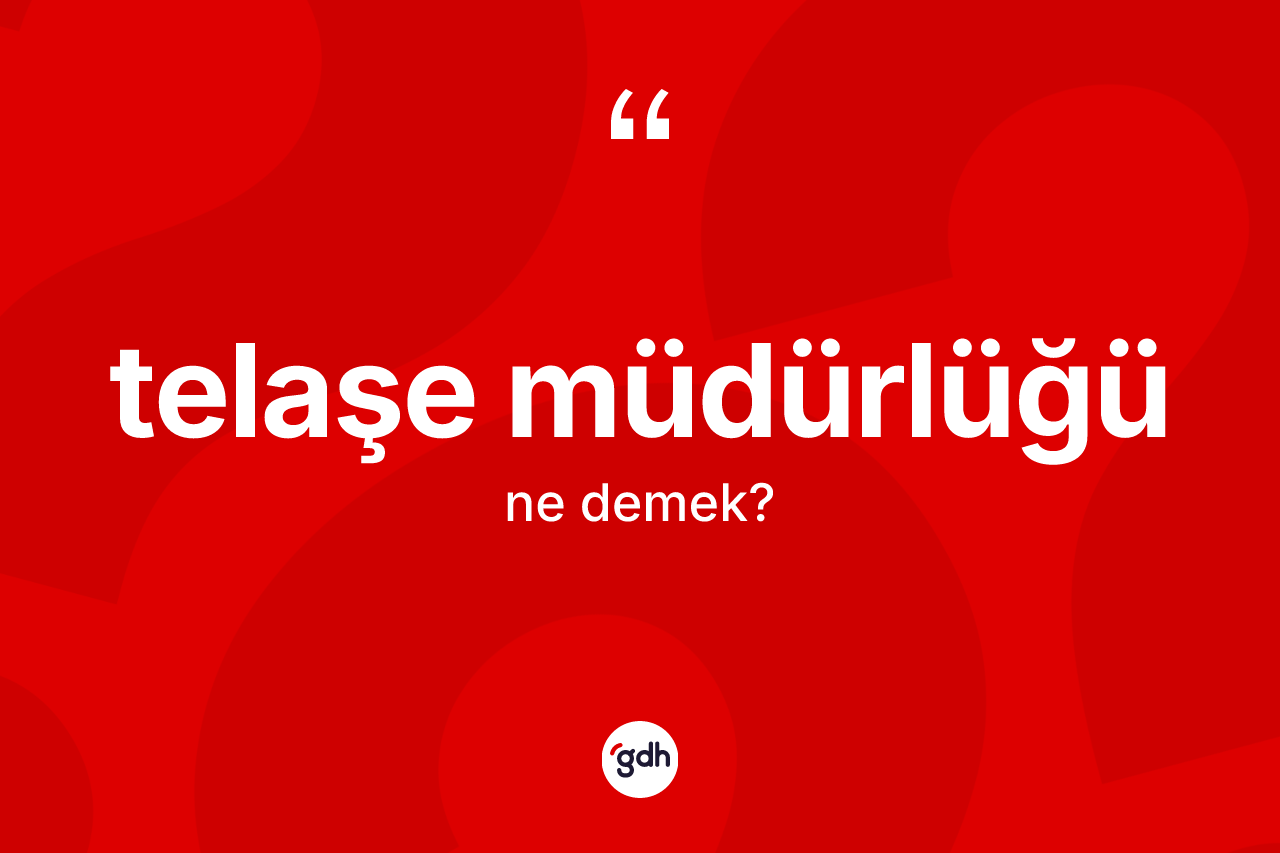 Telaşe müdürlüğü ne demek? Telaşe müdürlüğünün TDK'ya göre anlamı nedir?
