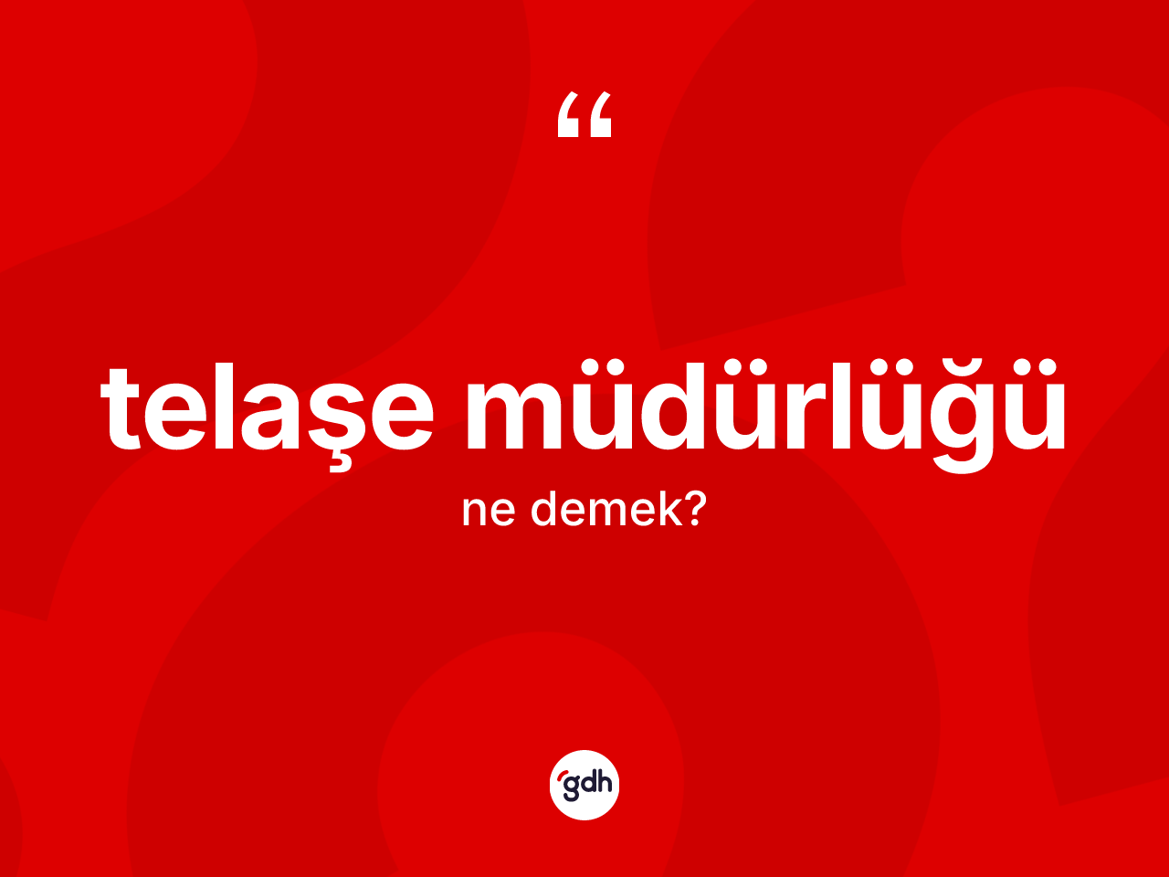 Telaşe müdürlüğü ne demek? Telaşe müdürlüğünün TDK'ya göre anlamı nedir?