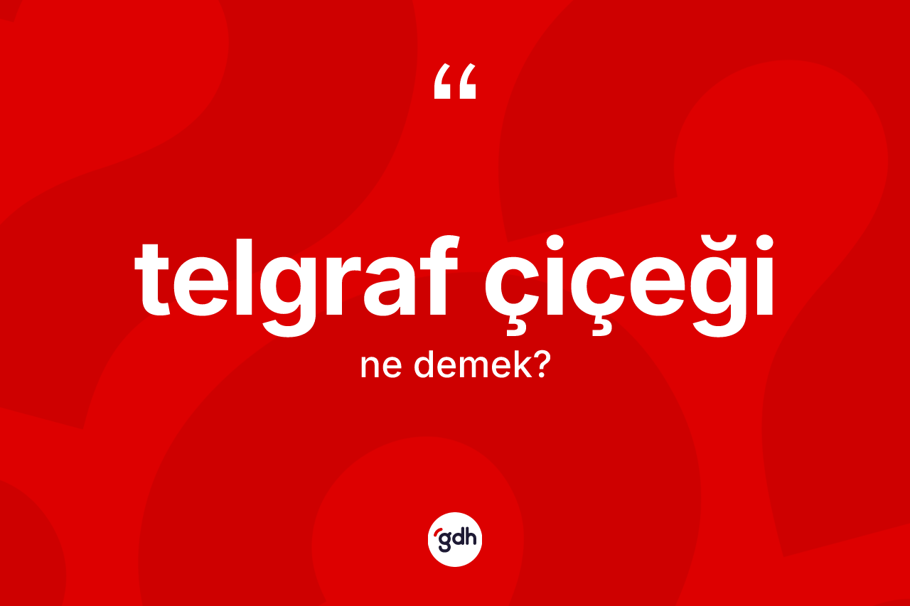 Telgraf çiçeği kelimesi ne anlama gelir?