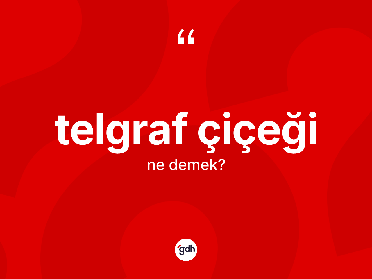 Telgraf çiçeği kelimesi ne anlama gelir? Telgraf çiçeğinin TDK'ya göre anlamı nedir?