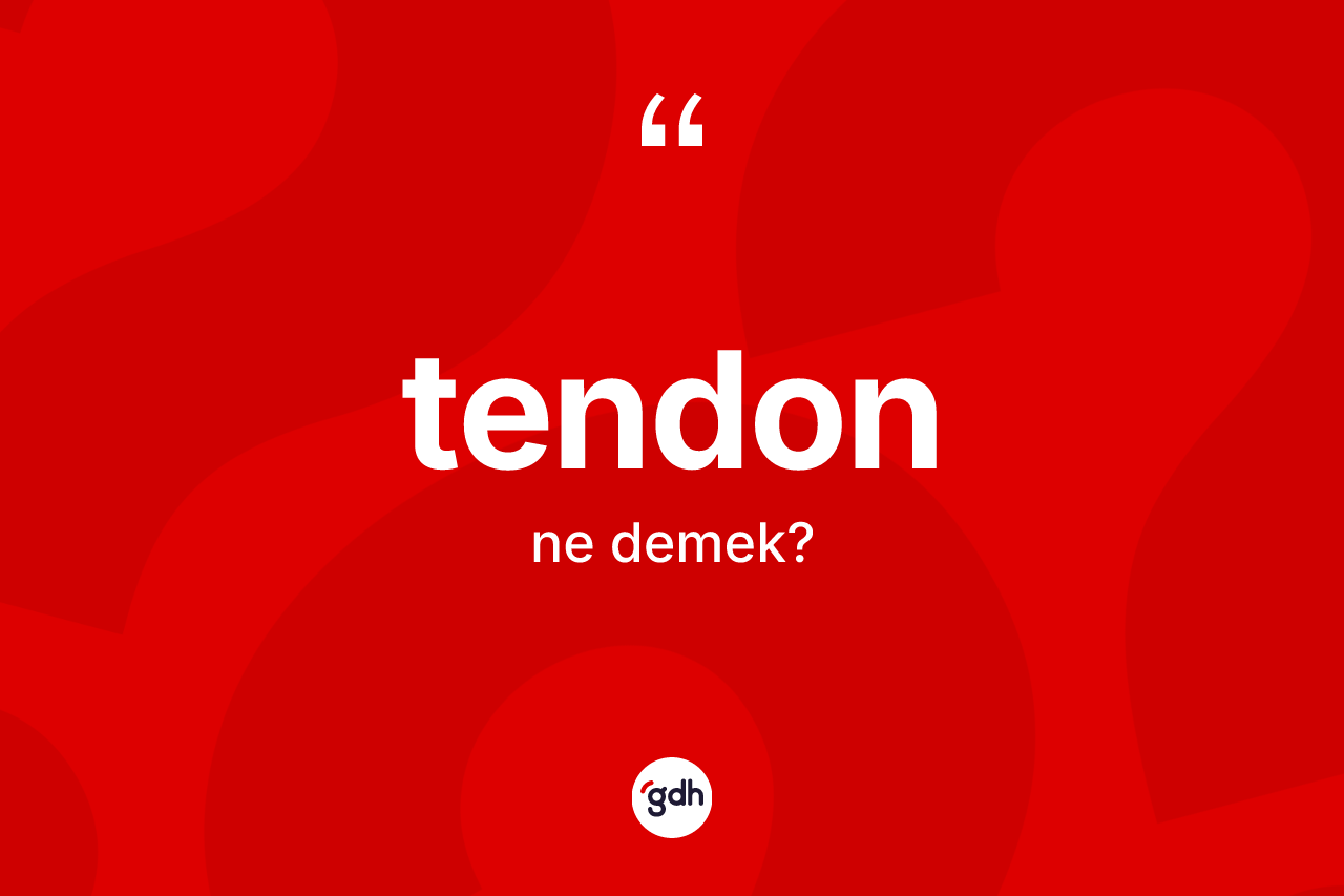 Tendon kelimesi ne anlama gelir? Tendonun TDK'ya göre anlamı nedir?