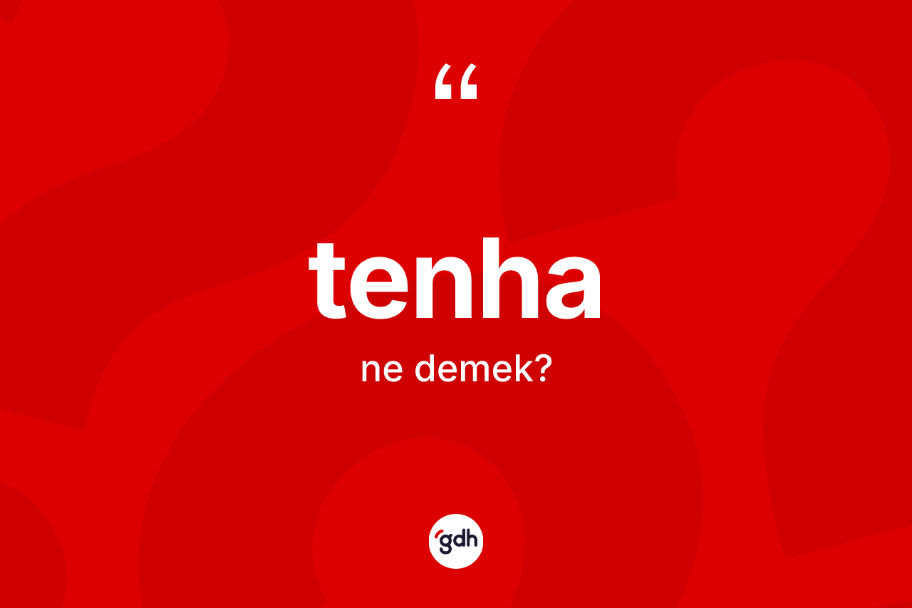 Tenha kelimesi ne anlama gelir? Tenhanın TDK'ya göre anlamı nedir?
