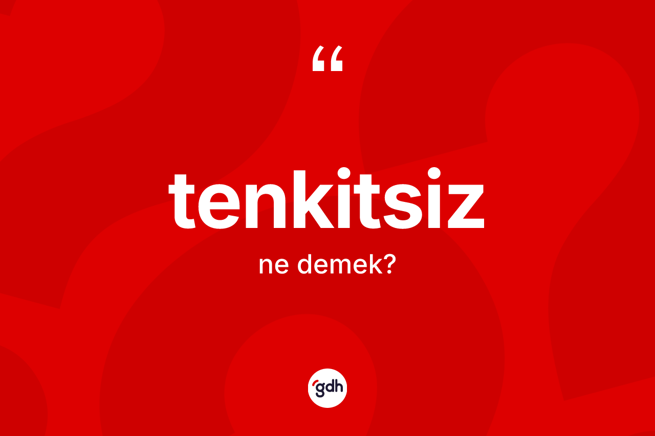 Tenkitsiz kelimesi ne demek? Tenkitsiz kelimesinin özellikleri nelerdir?