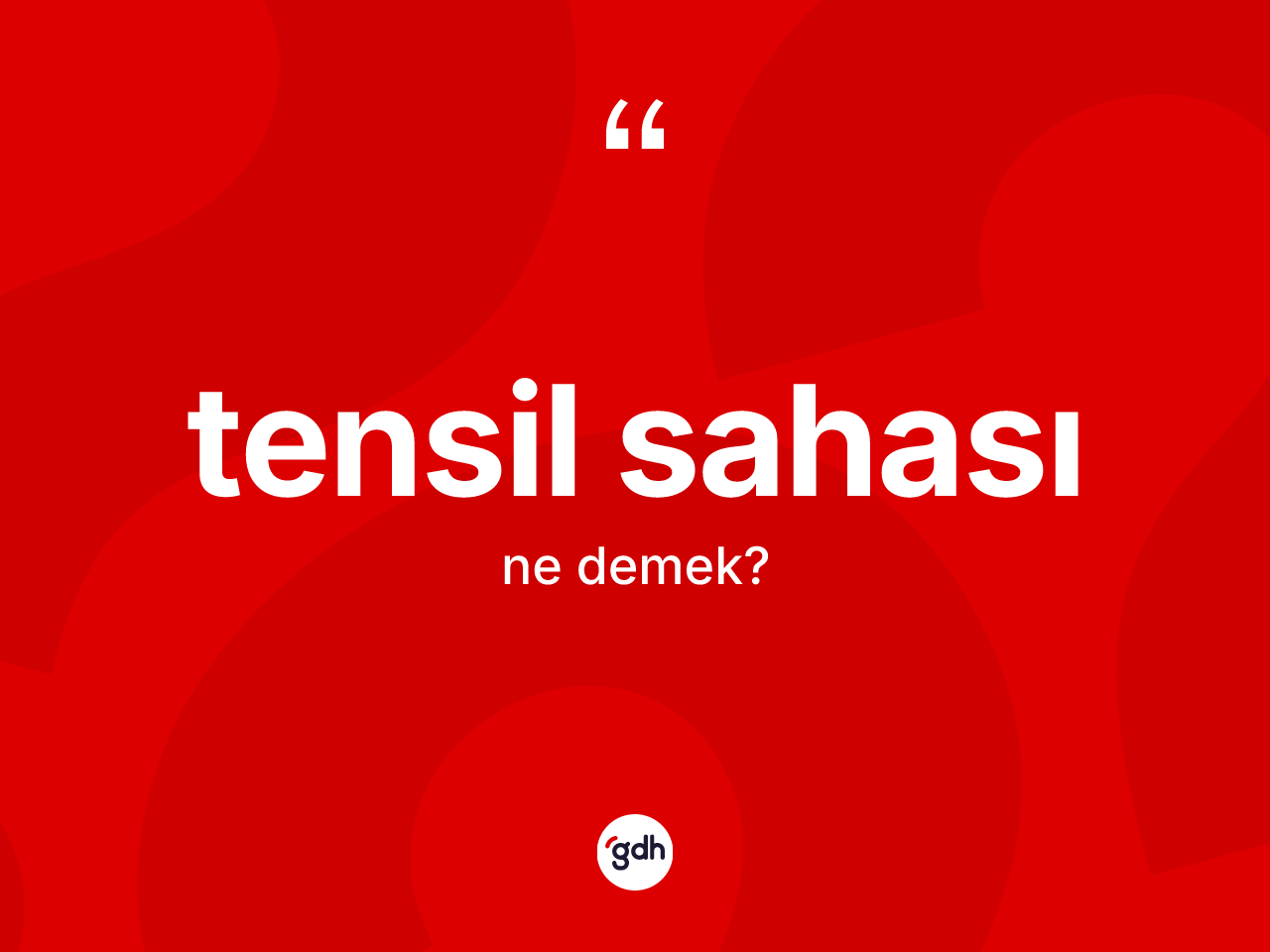 Tensil sahası kelimesinin sözlükteki tanımı nedir? Tensil sahası kelimesinin kaç farklı anlamı var?
