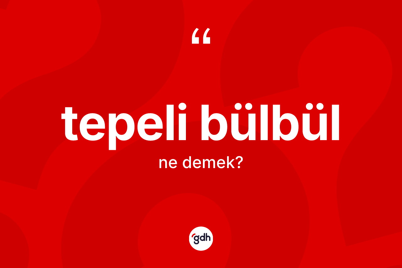 Tepeli bülbül ne anlama gelir?