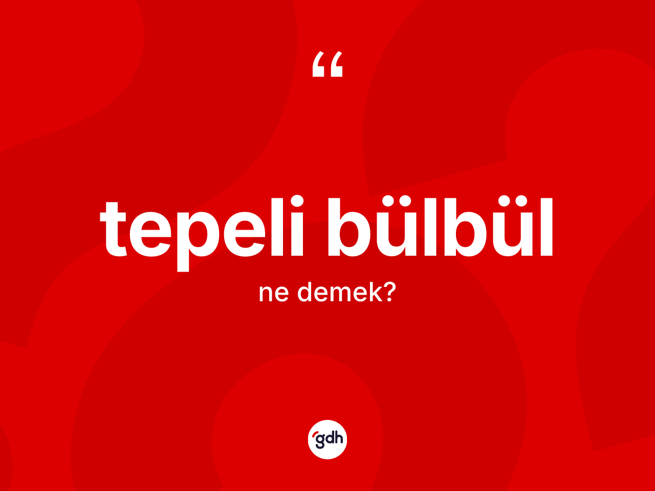 Tepeli bülbül ne anlama gelir? Tepeli bülbülün sözlükteki anlamı nedir?