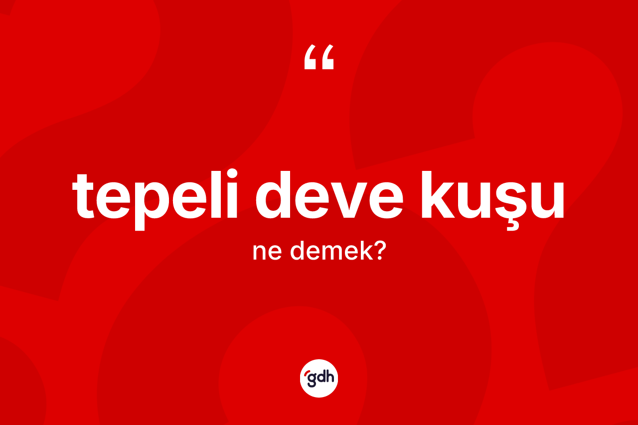 Tepeli deve kuşu ne demek? Tepeli deve kuşu kelimesinin kaç farklı anlamı var?