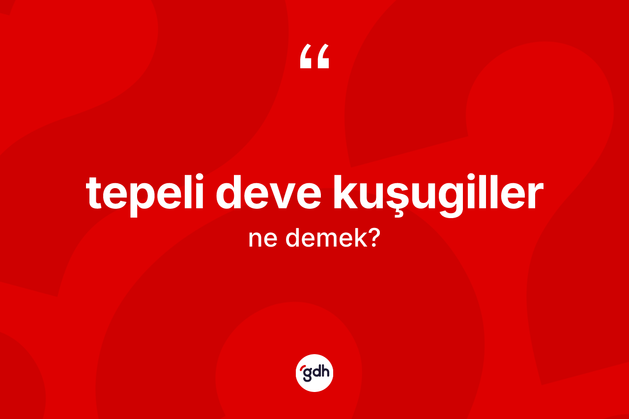 Tepeli deve kuşugiller kelimesinin anlamı nedir? Tepeli deve kuşugillerin TDK'ya göre anlamı nedir?