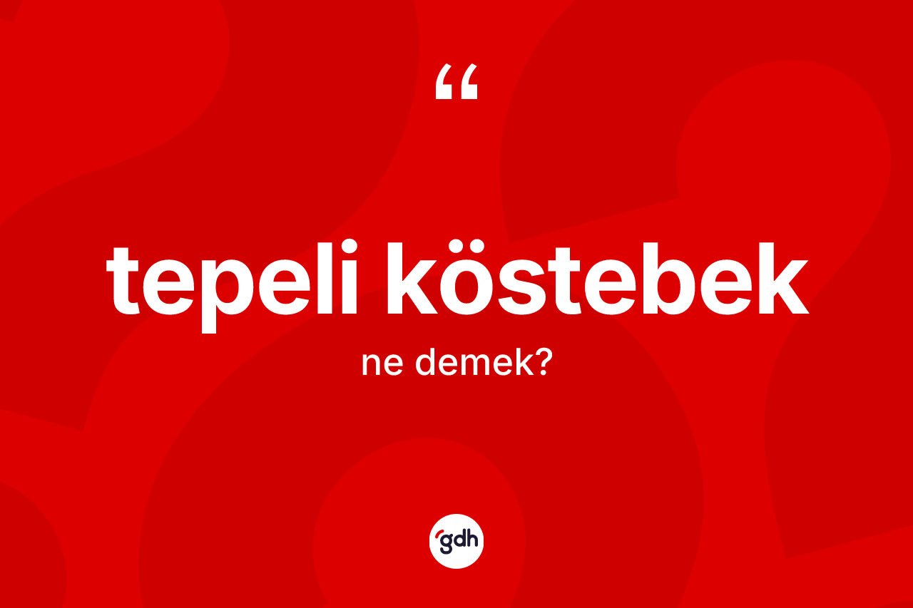 Tepeli köstebek kelimesinin tanımı nedir? Tepeli köstebeğin TDK'ya göre anlamı nedir?