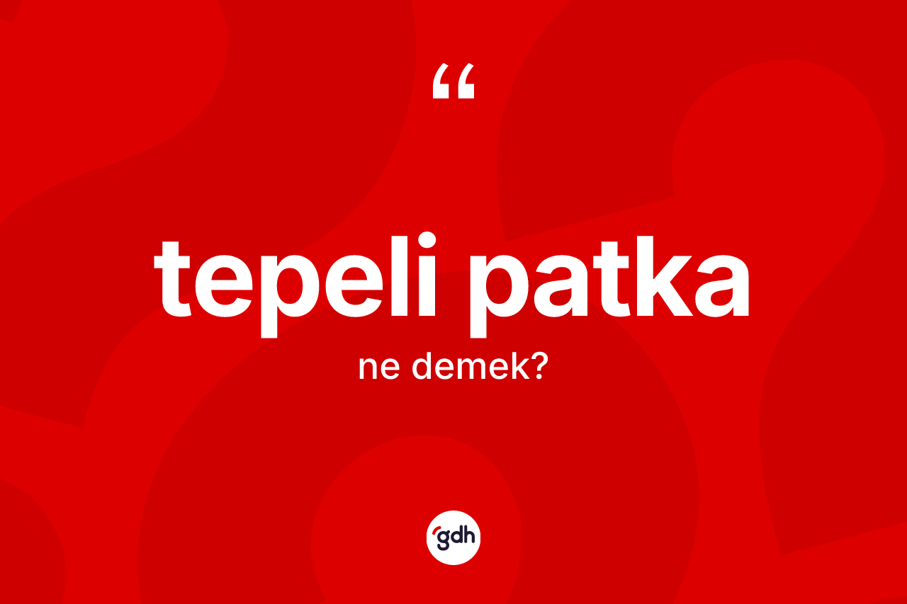 Tepeli patka kelimesinin sözlükteki tanımı nedir? Tepeli patkanın TDK'ya göre anlamı nedir?