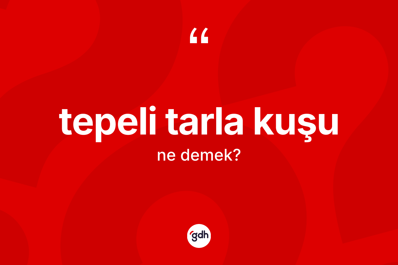 Tepeli tarla kuşu nedir?