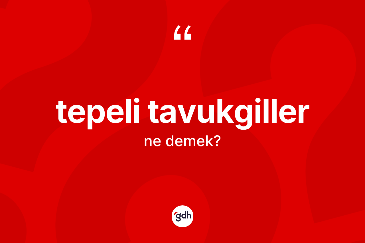 Tepeli tavukgiller kelimesinin anlamı nedir? Tepeli tavukgiller kelimesinin özellikleri nelerdir?