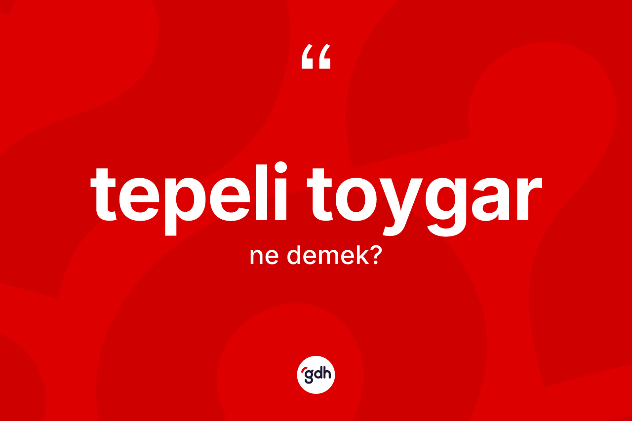 Tepeli toygar kelimesi nedir? Tepeli toygarın TDK'ya göre anlamı nedir?