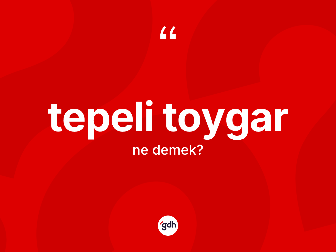 Tepeli toygar kelimesi nedir? Tepeli toygarın TDK'ya göre anlamı nedir?