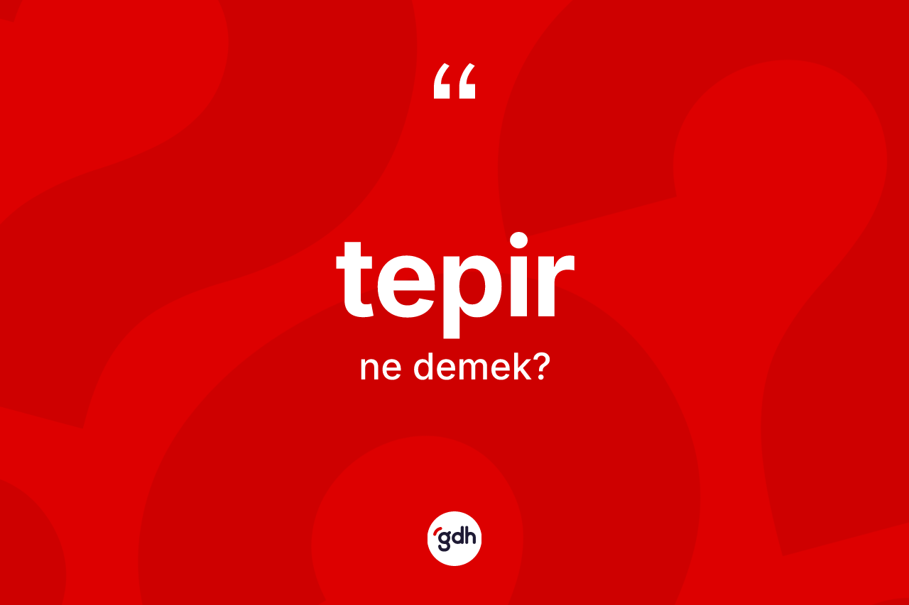 Tepir kelimesinin sözlükteki tanımı nedir?
