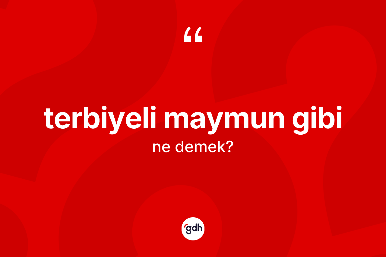 Terbiyeli maymun gibi ifadesinin anlamı nedir?