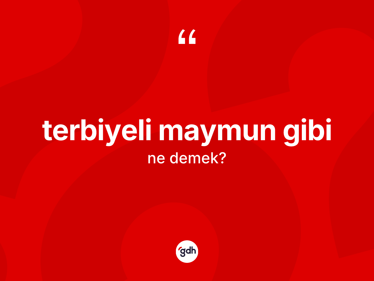 Terbiyeli maymun gibi ifadesinin anlamı nedir? Terbiyeli maymun gibi sözü nerede kullanılır?