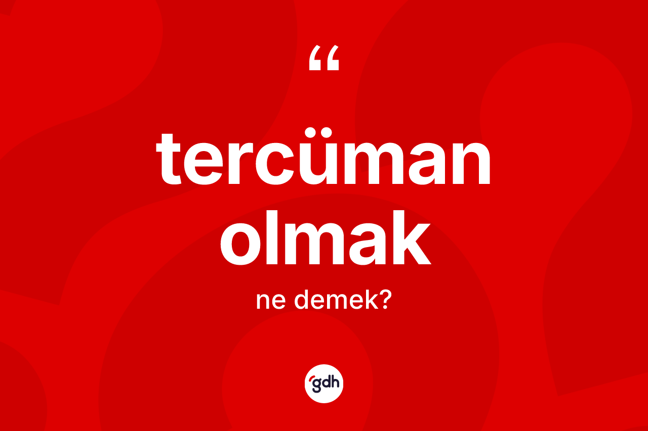 Tercüman olmak ne demektir? Tercüman olmak ifadesi nerede kullanılır?