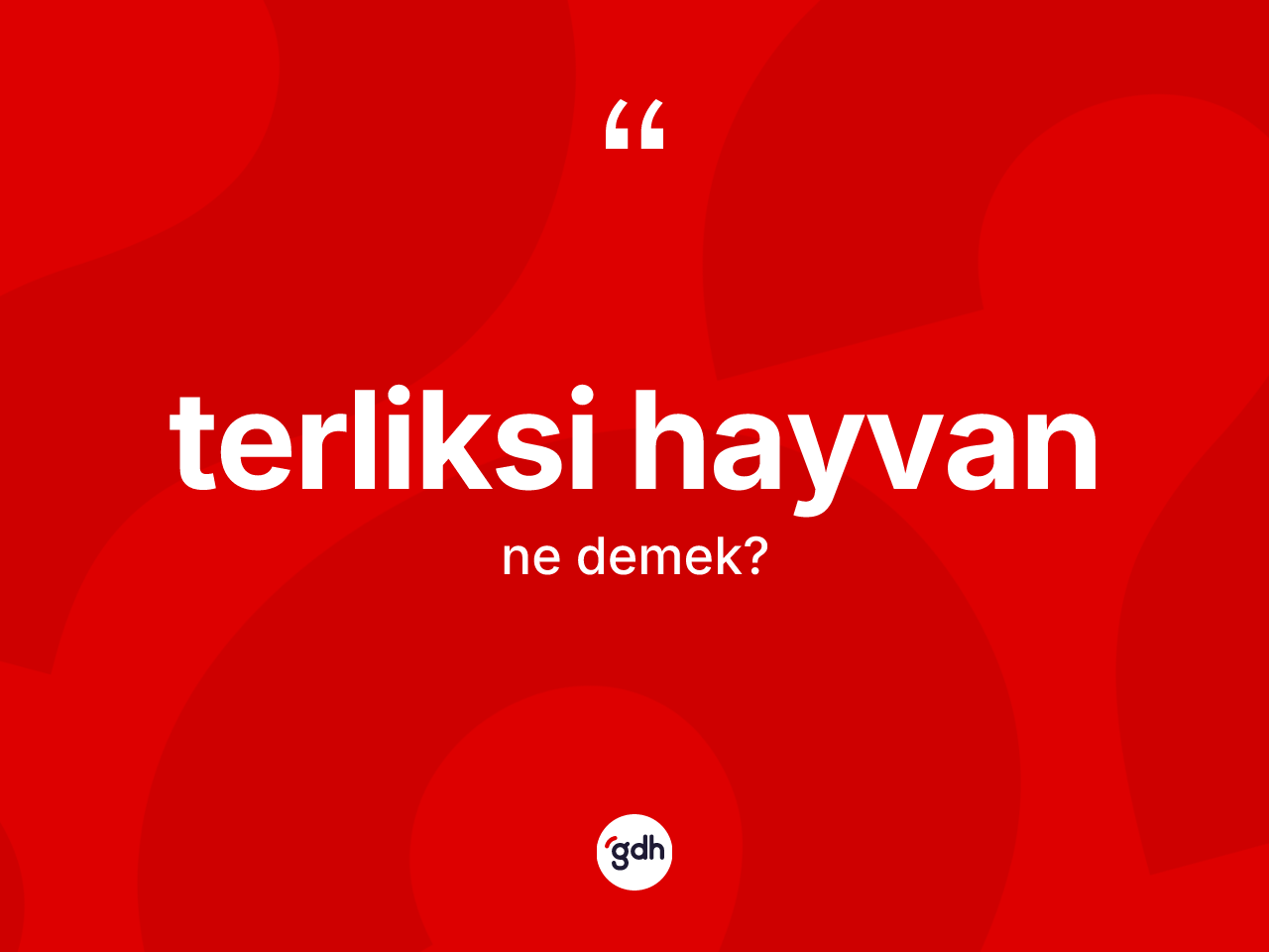 Terliksi hayvan kelimesinin sözlükteki tanımı nedir? Terliksi hayvanın TDK'ya göre anlamı nedir?